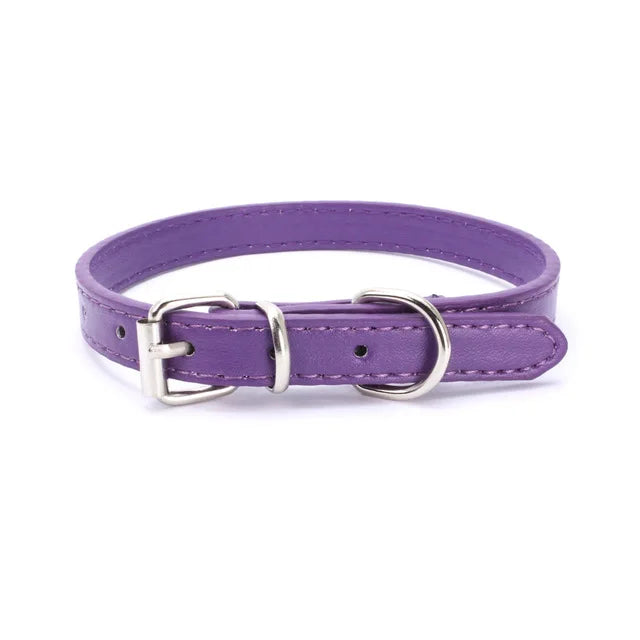 Small purple dog collar