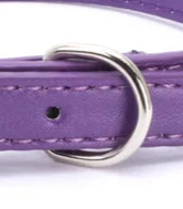 Small purple dog collar