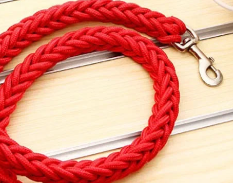 Red rope dog lead