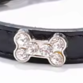 Thin puppy collar