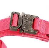 Pink tactical dog collar