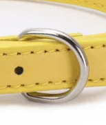 Tiny dog collar