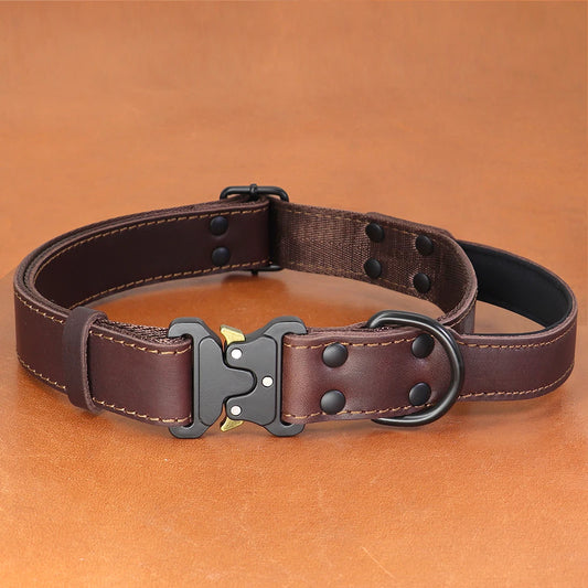 Premium dog collar