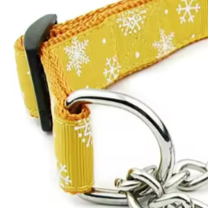 Yellow martingale dog collar