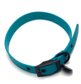 Medium dog collar and lead