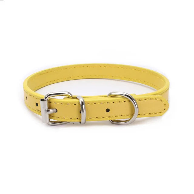 Tiny dog collar