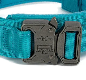 Padded nylon dog collar