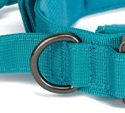 Padded nylon dog collar