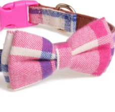 Custom tartan dog collar