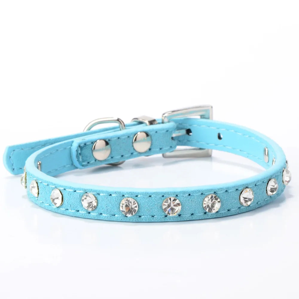 Baby blue leather dog collar