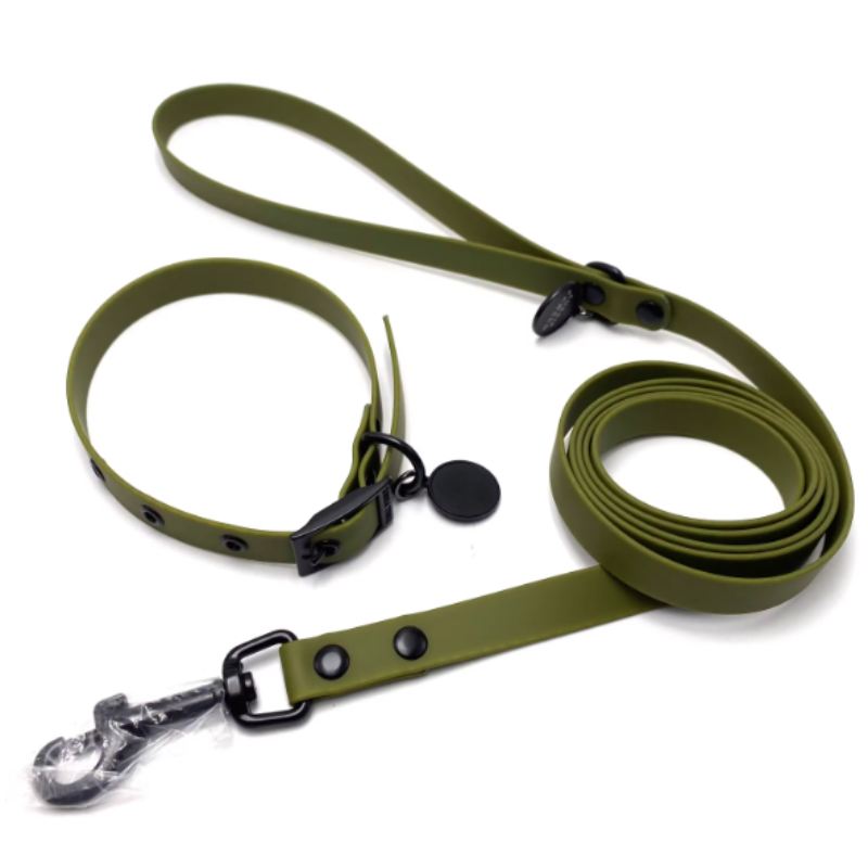 XS dog collar and lead