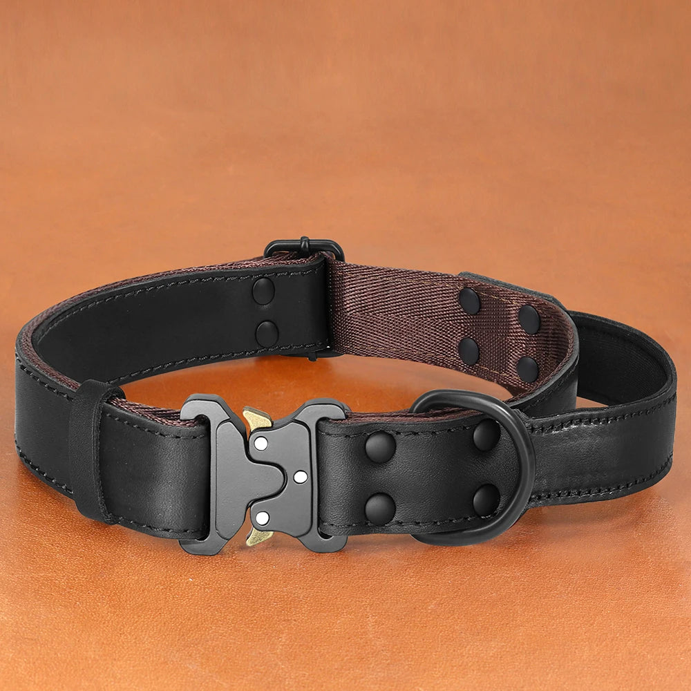 Leather agitation dog collar with handle