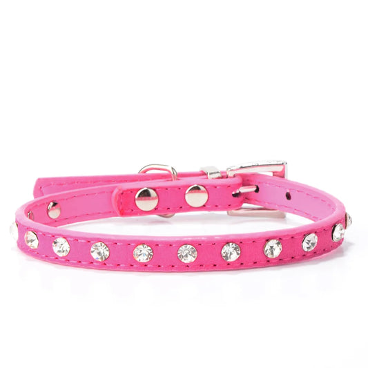 Leather collar for small dog