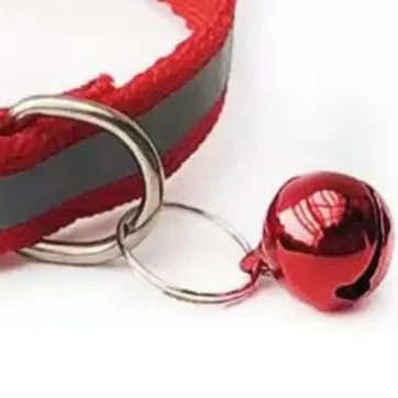 Red reflective dog collar