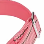 Martingale dog collar pink