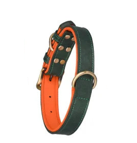 Padded leather dog collar