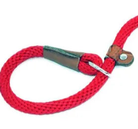 Climbing rope dog leash