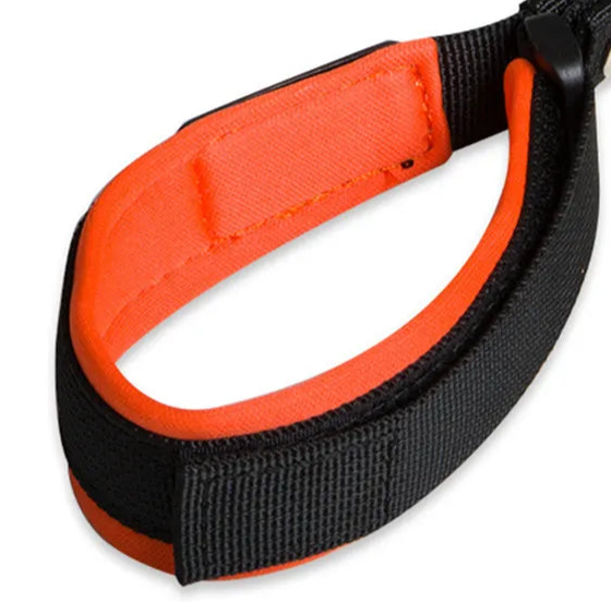 XL dog collar with handle