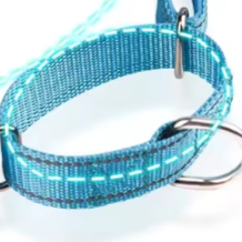 Nylon martingale dog collar