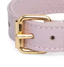 Lightweight puppy collar