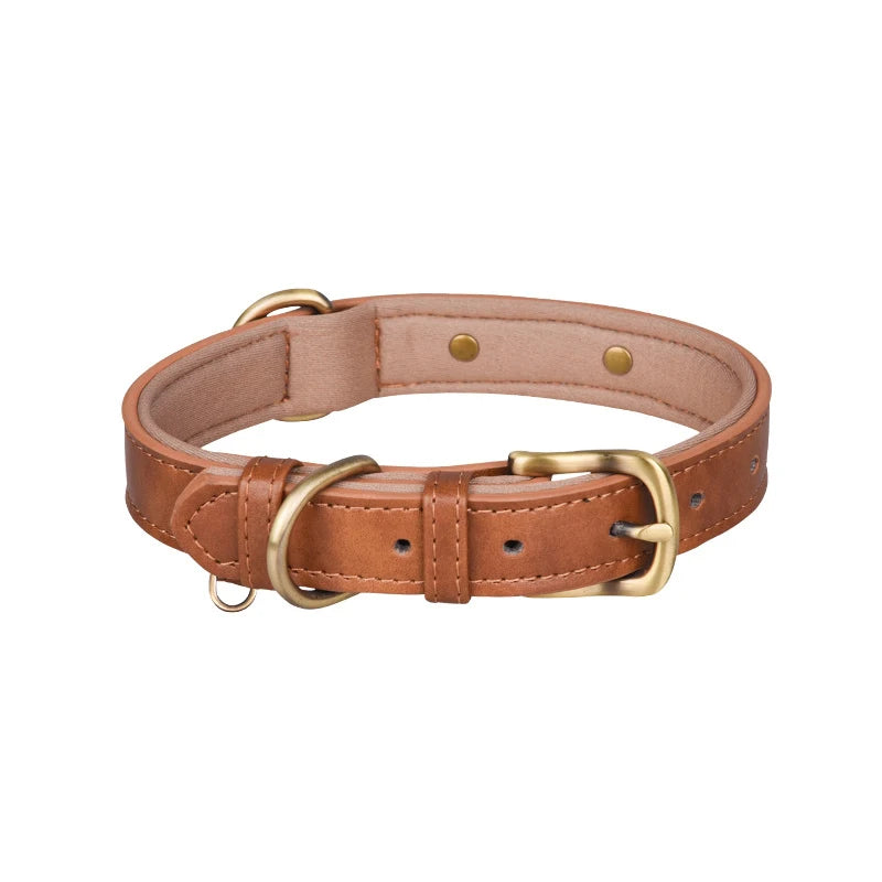 Tan leather dog collar