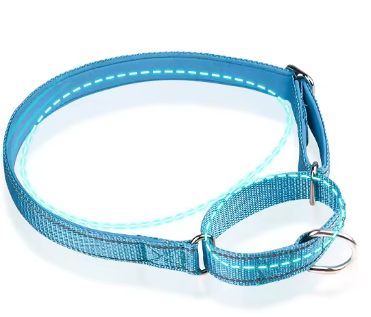 Nylon martingale dog collar