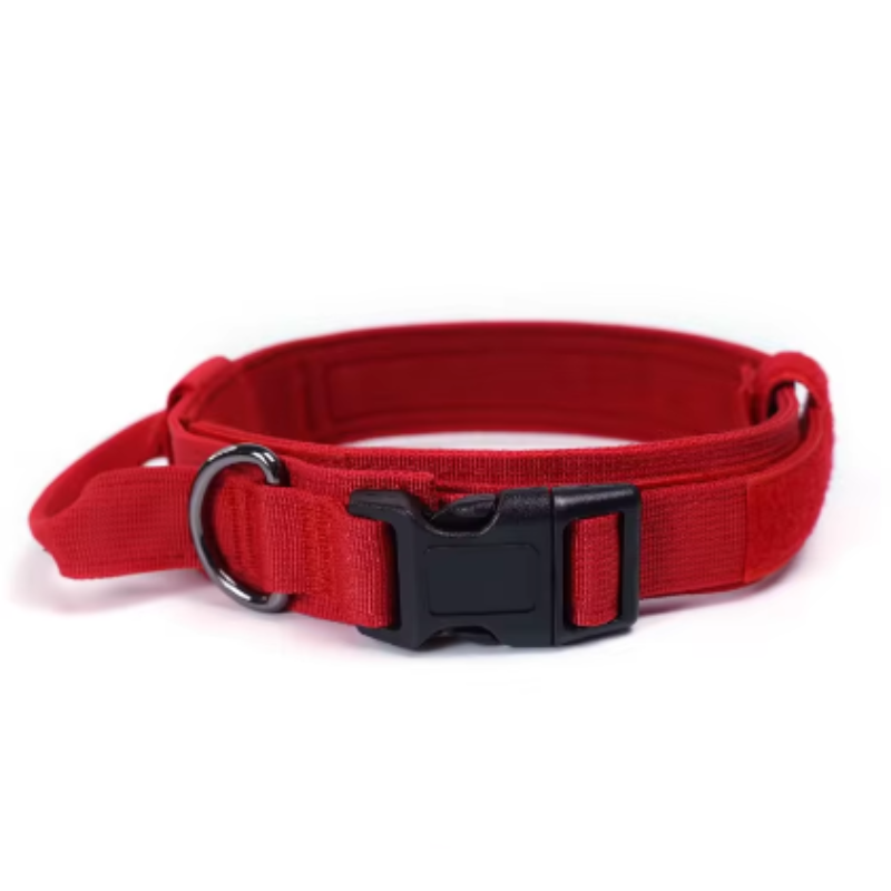 Durable dog collar