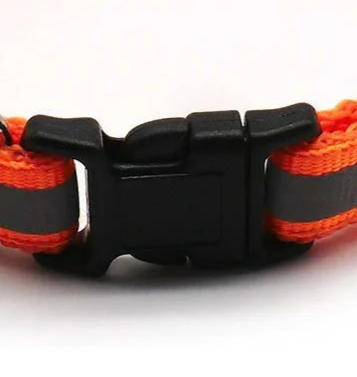 Safe glow dog collar