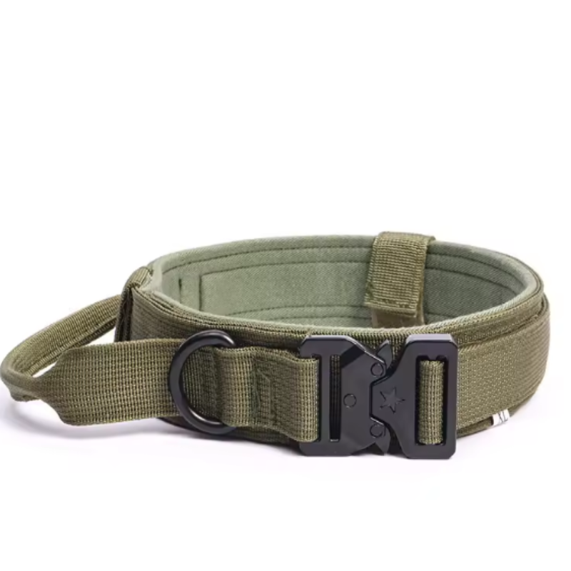 Reinforced dog collar