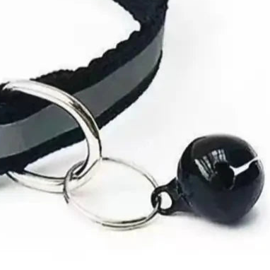 Black reflective dog collar