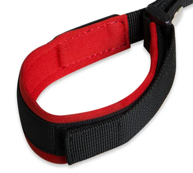 Handle dog collar