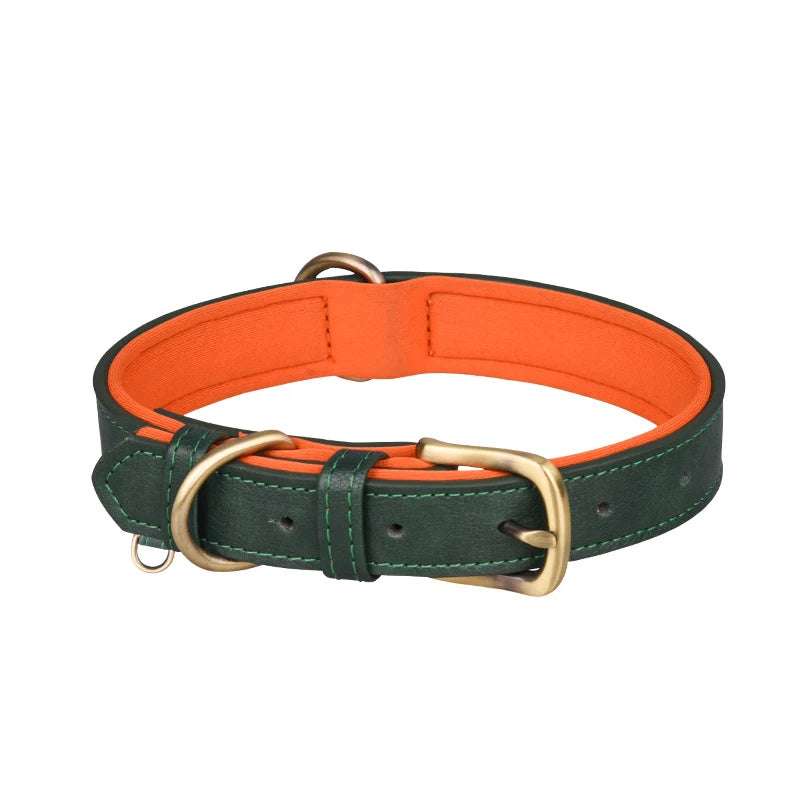 Padded leather dog collar