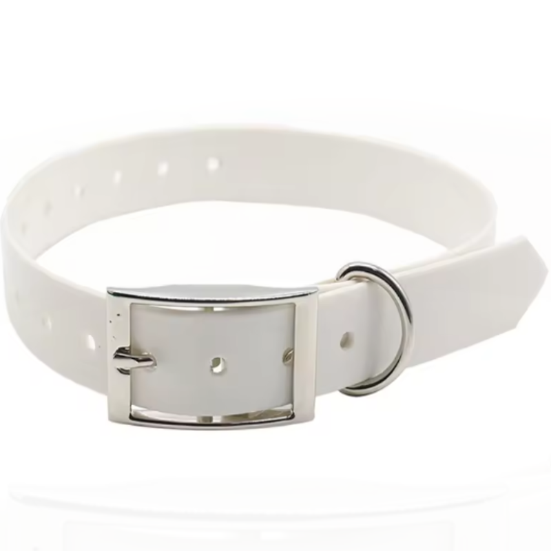 White puppy collar