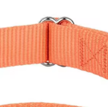 Cute martingale dog collar