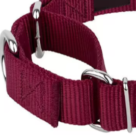 Small dog martingale collar