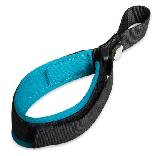 Thick dog collar with handle