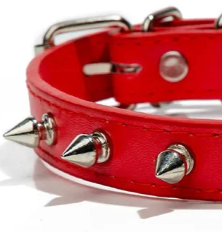 Spiky dog collar