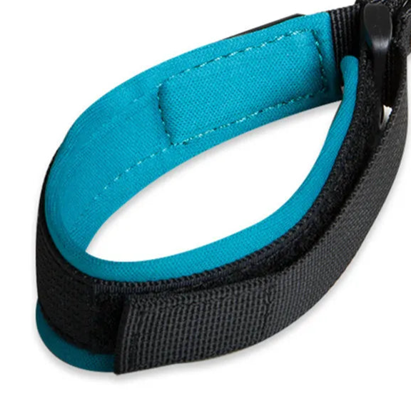 Thick dog collar with handle