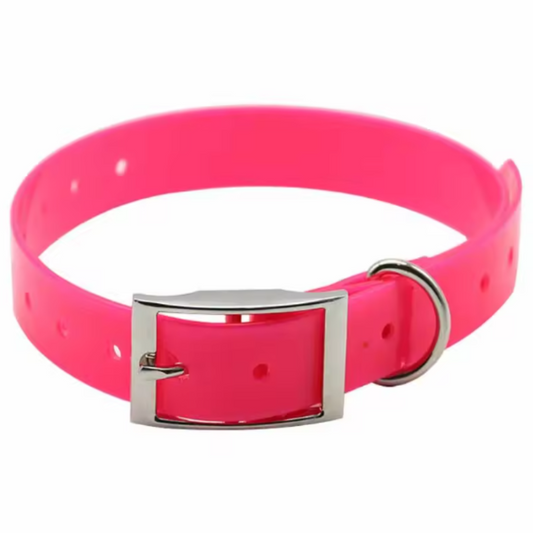 Hot pink puppy collar