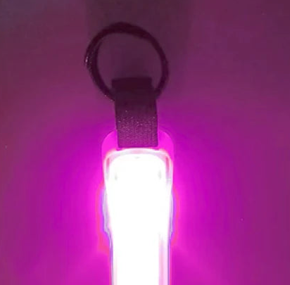 Pink LED dog collar