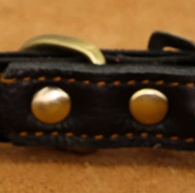 Flat leather dog collar