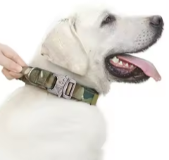 Military tactical dog collar