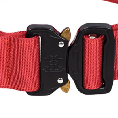 Red and black dog collar