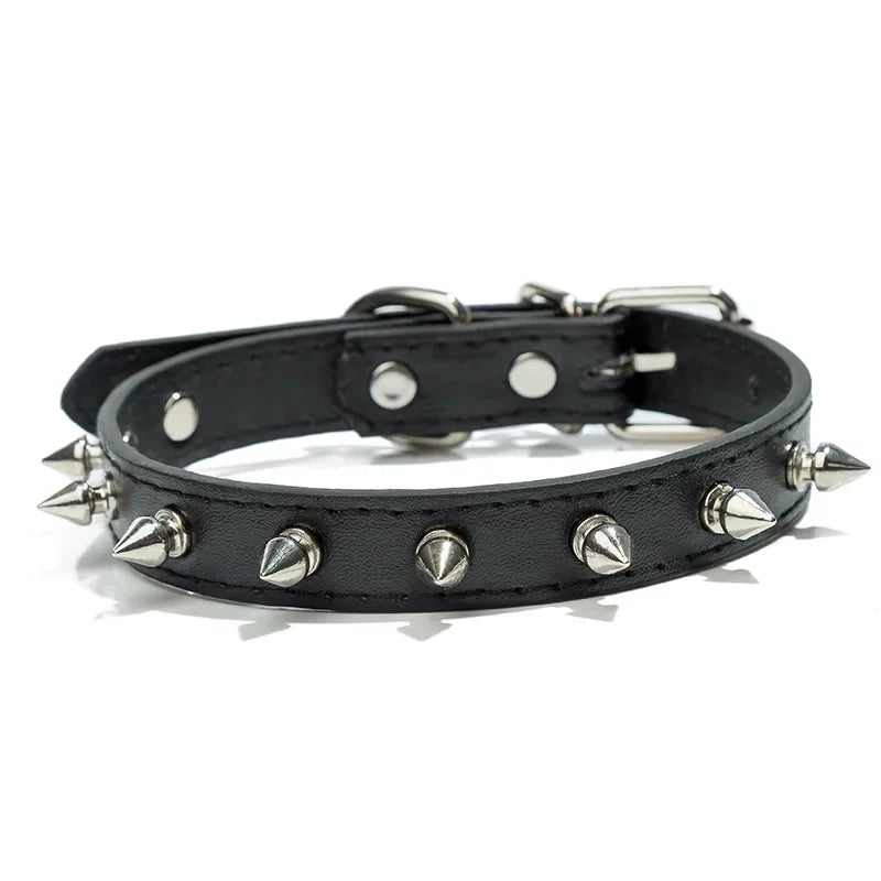 Spiked collar for small dog