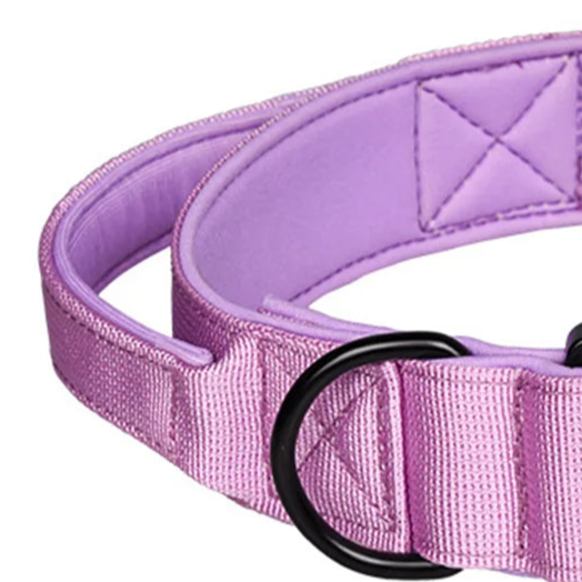 Easy leash collar