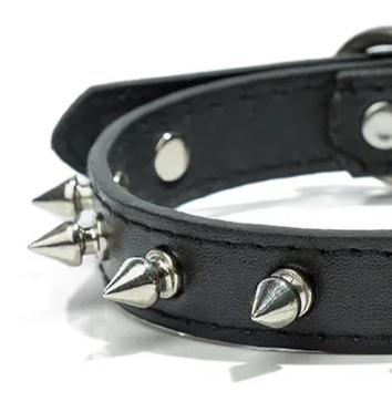 Spiked collar for small dog