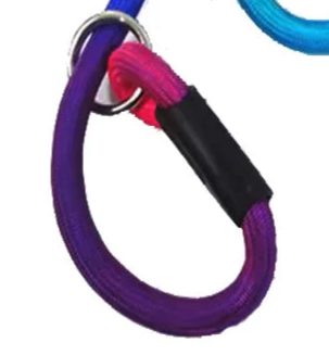 Rainbow rope dog lead