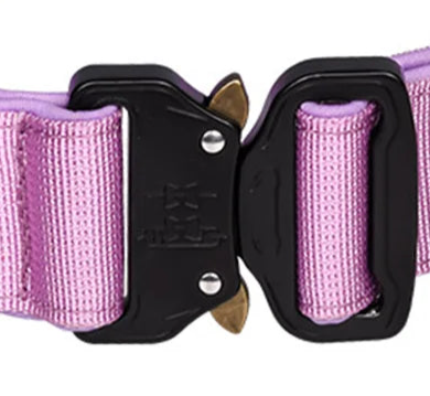 Locking dog collar