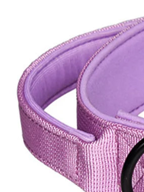 Locking dog collar