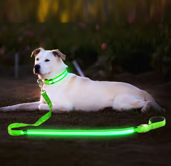 Reflective dog leash and collar